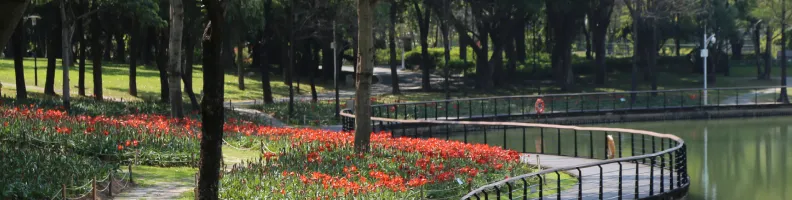 Gen Z Embraces Sleep, Offline Communities, and Holistic Health for Mental Well-Being